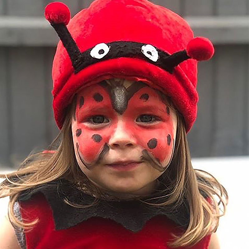 Face Paint Ladybird