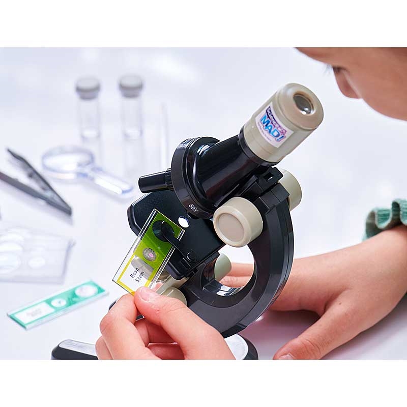 Science Mad 100x Microscope - Looking at Sample Slides