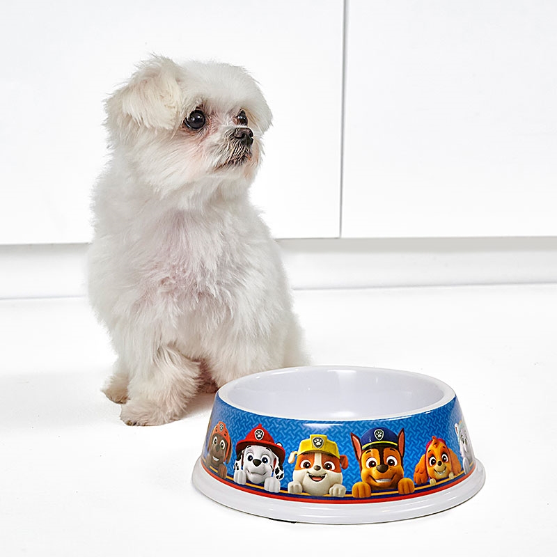 PAW Patrol Pet Bowl Small Dog Using