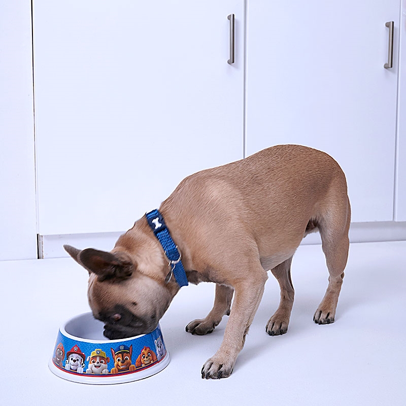 PAW Patrol Pet Bowl Small Dog Eating