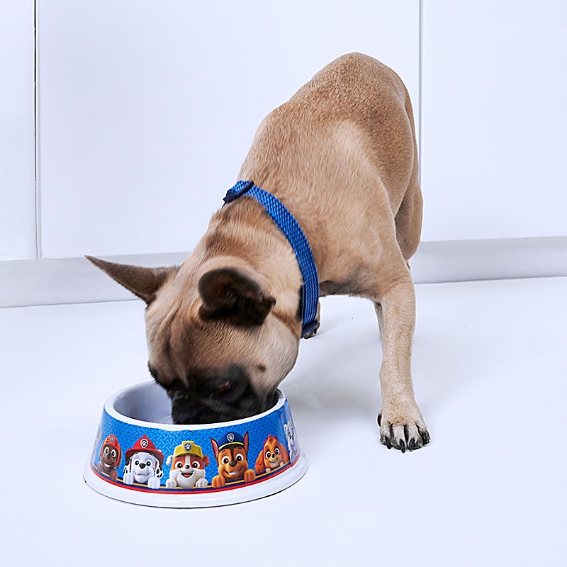 PAW Patrol Pet Bowl Small - Pet Accessories