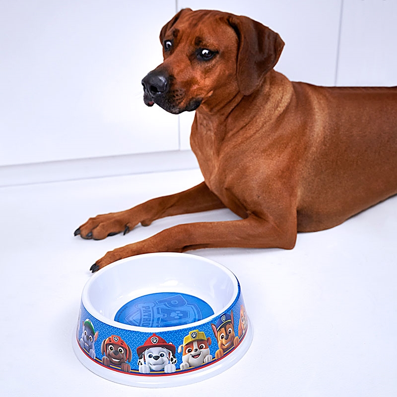 PAW Patrol Large Pet Bowl Dog Looking