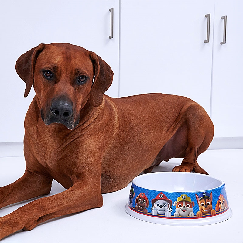 PAW Patrol Large Pet Bowl Dog Next to Food Bowl