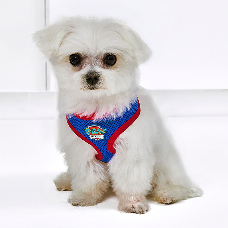 PAW Patrol Mesh Fabric Pet Harness Small Dog Wearing
