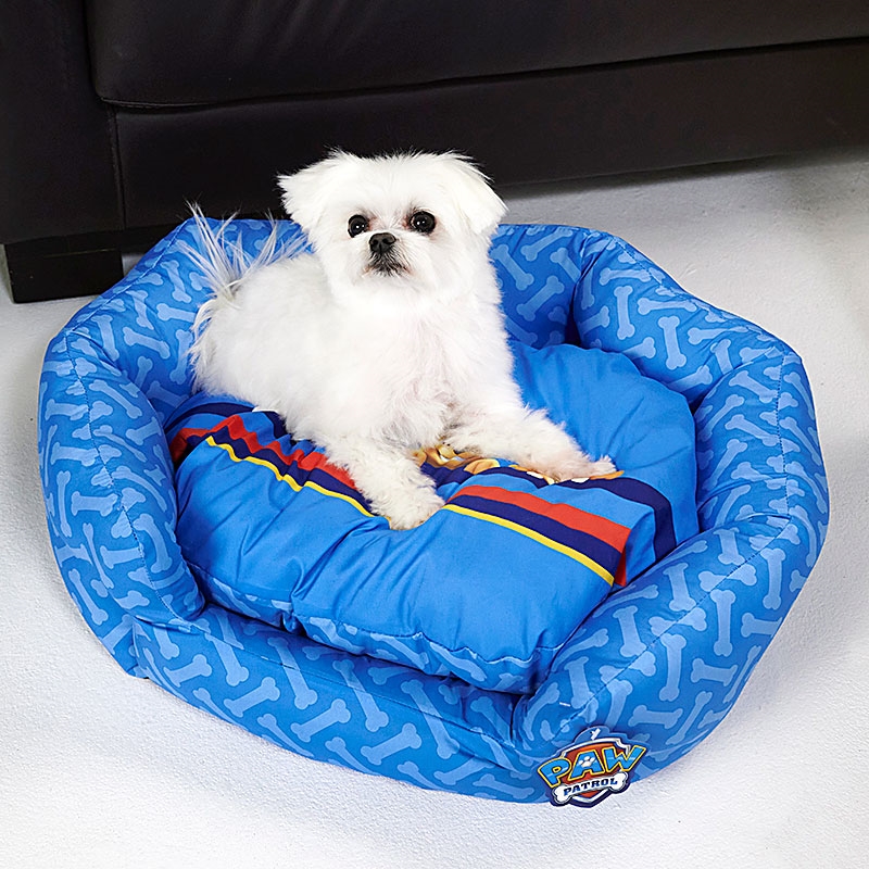 PAW Patrol High Sided Pet Bed Small Dog Sat On