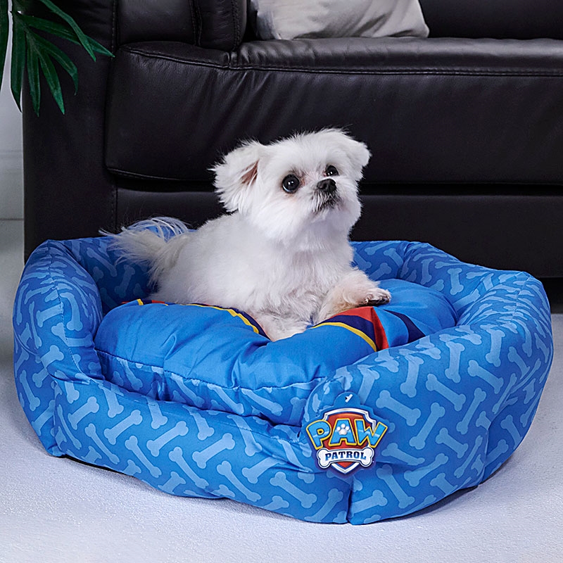 PAW Patrol High Sided Pet Bed Small Dog Sat in Bed