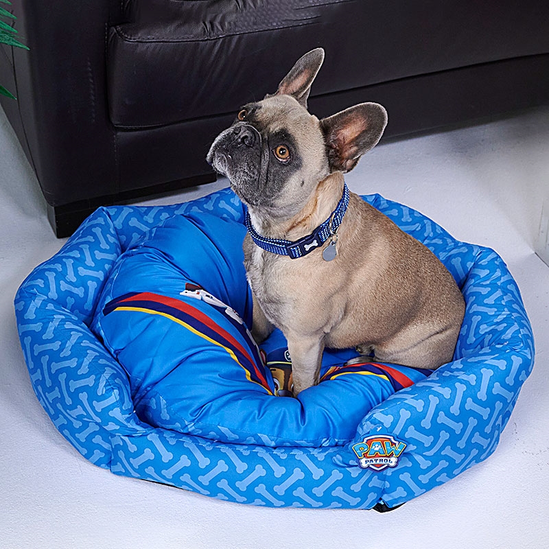 PAW Patrol High Sided Pet Bed Medium Dog Sat on Bed