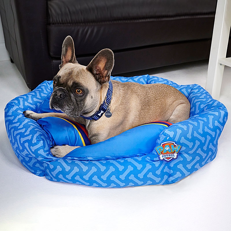 PAW Patrol High Sided Pet Bed Medium Dog Laid on Bed