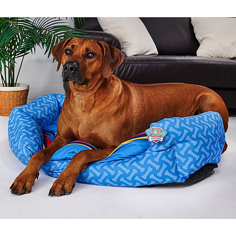 PAW Patrol High Sided Pet Bed Large Dog Sat Relaxing on Bed