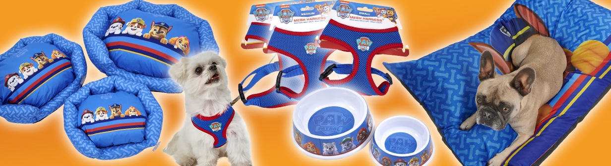 Pet Accessories Products